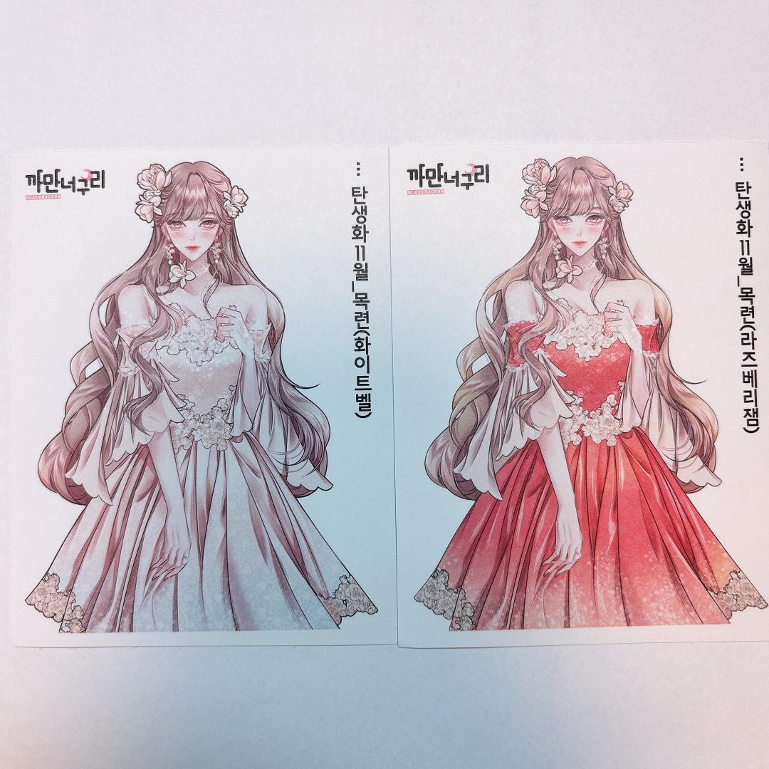 A4.人物ステッカー　韓国作家　黒いたぬき様　セット売り　ラスト１