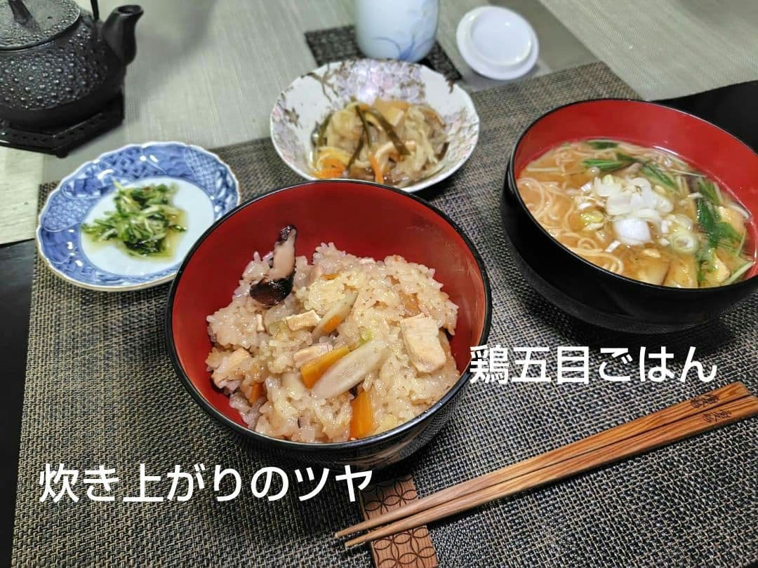 つきあかり10kg　岩手県産 令和６年産 減農薬 玄米 有機栽培