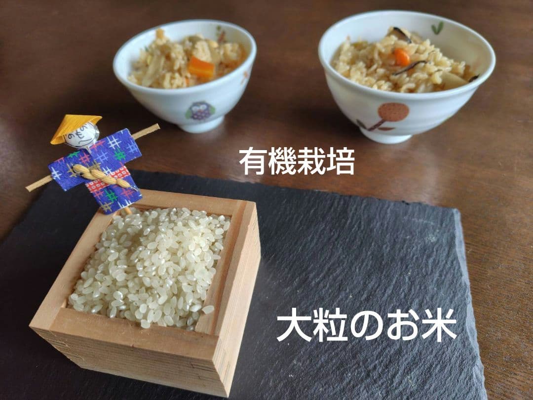 つきあかり10kg　岩手県産 令和６年産 減農薬 玄米 有機栽培