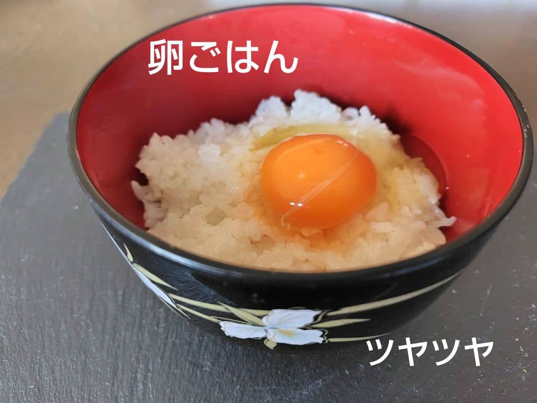 つきあかり10kg　岩手県産 令和６年産 減農薬 玄米 有機栽培