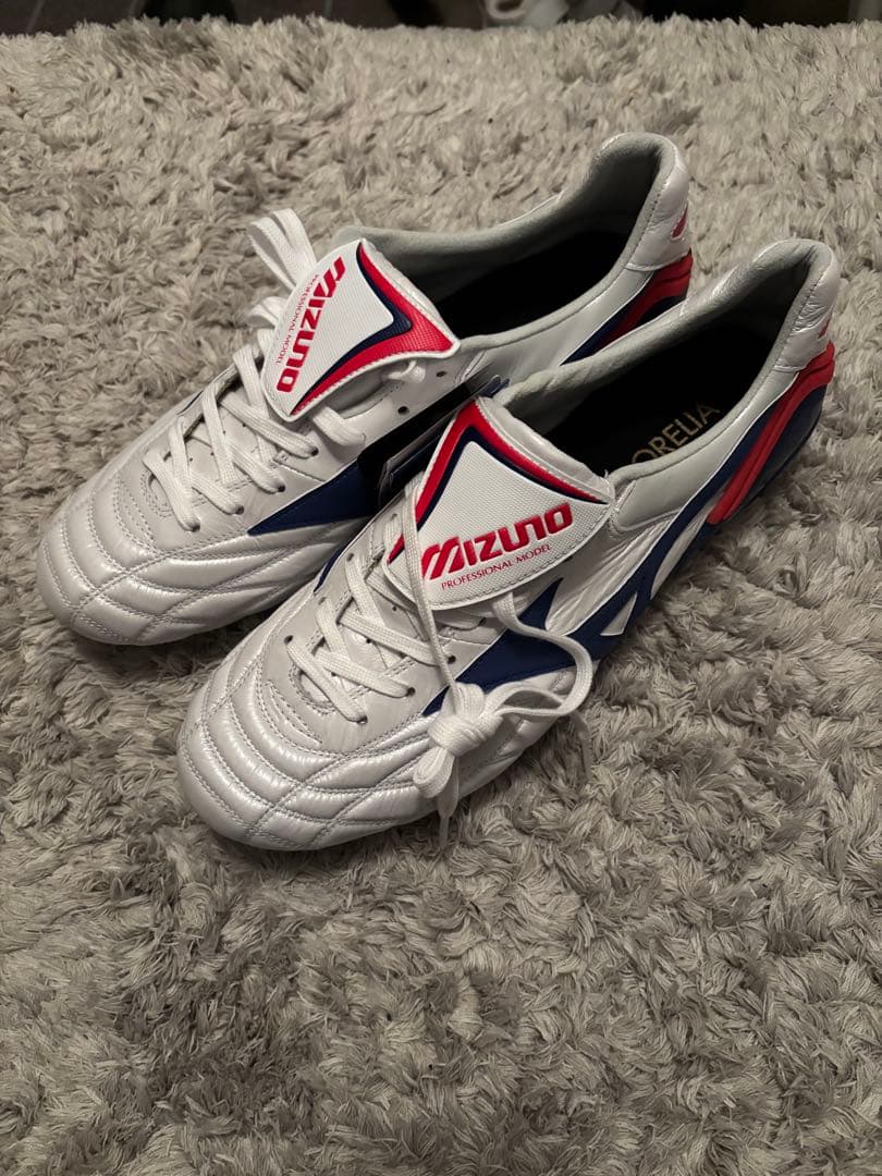 【新品未使用】ミズノ　モレリアウェーブ 27.5cm