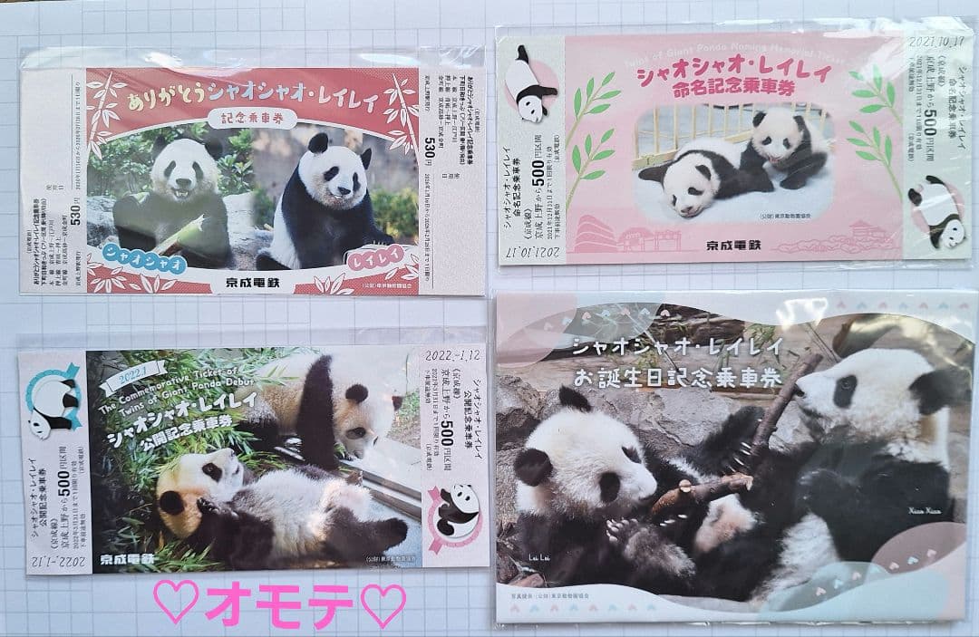 シャオシャオ♡レイレイ　シャンシャンパンダ