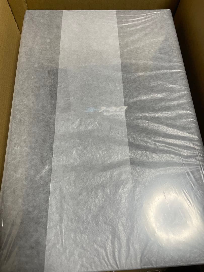 ブルーアーカイブ ワカモ【ネオンマックス】未開封