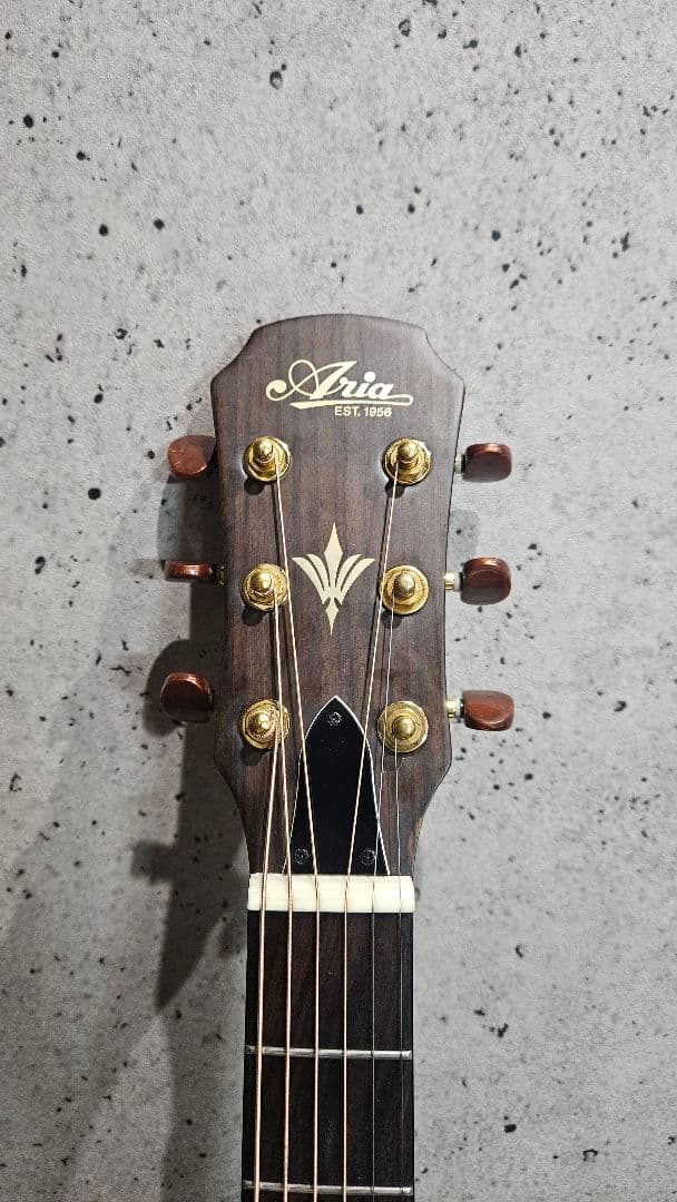 B.B Aria エレアコ FET-F2 STBK