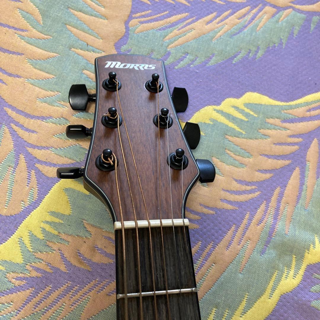 Morris ギター