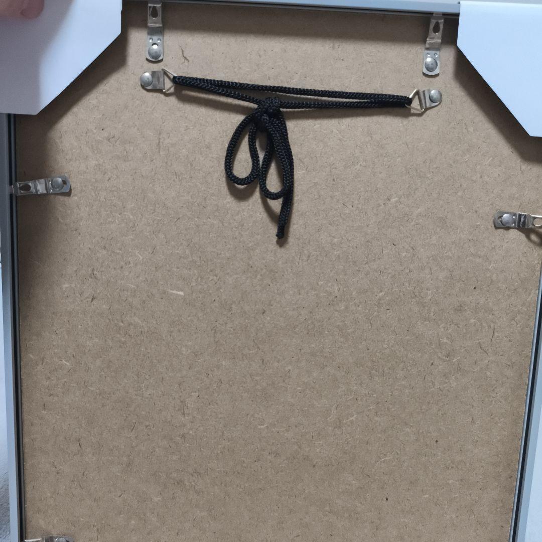 ワンピース　3D 高級複製原画