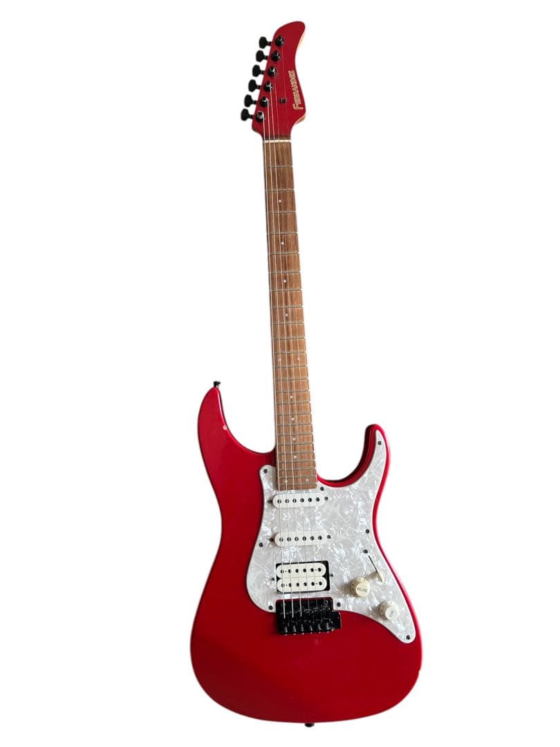 エレキギター FERNANDES