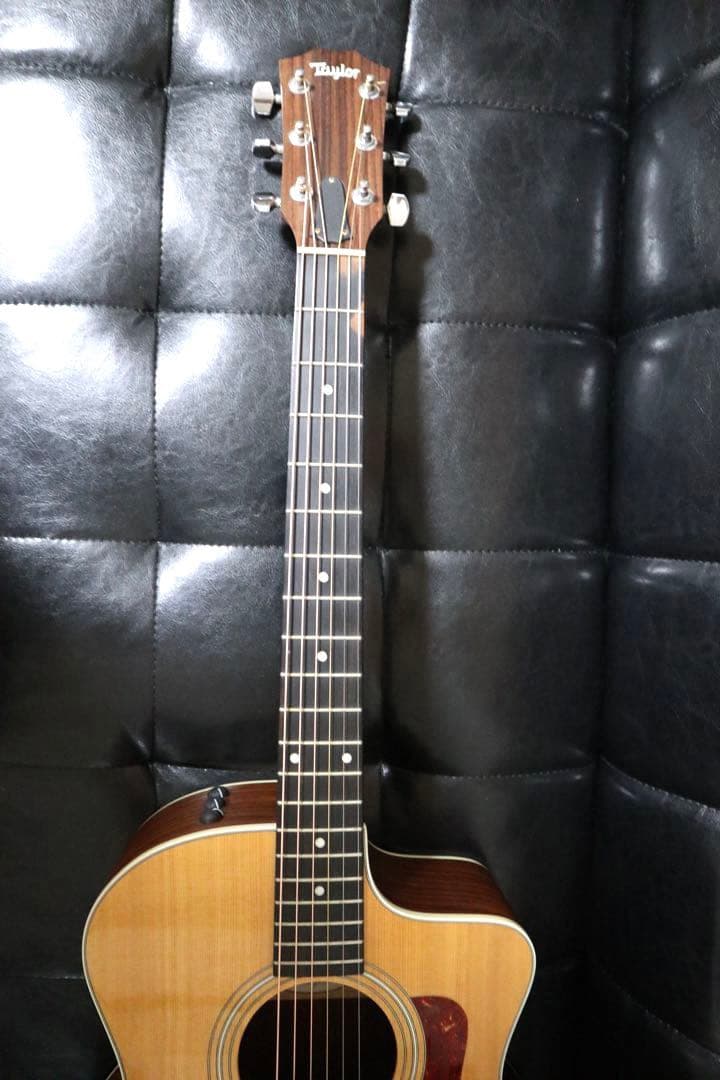 【送料込み】Taylor 214ce ES2 エレアコ 本革ストラップ ケース