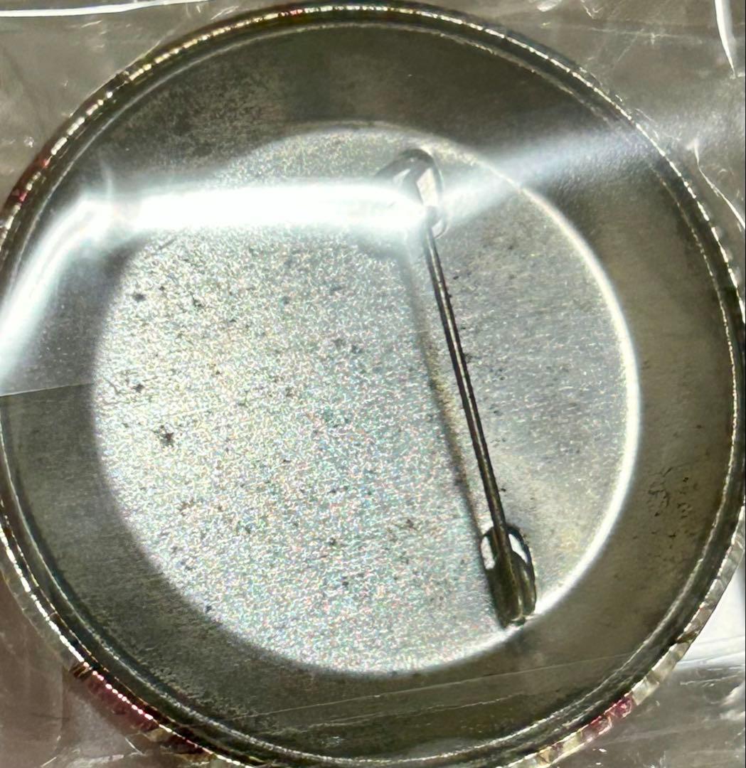 Dies irae 抱き枕カバー ルサルカ 特典　缶バッジ