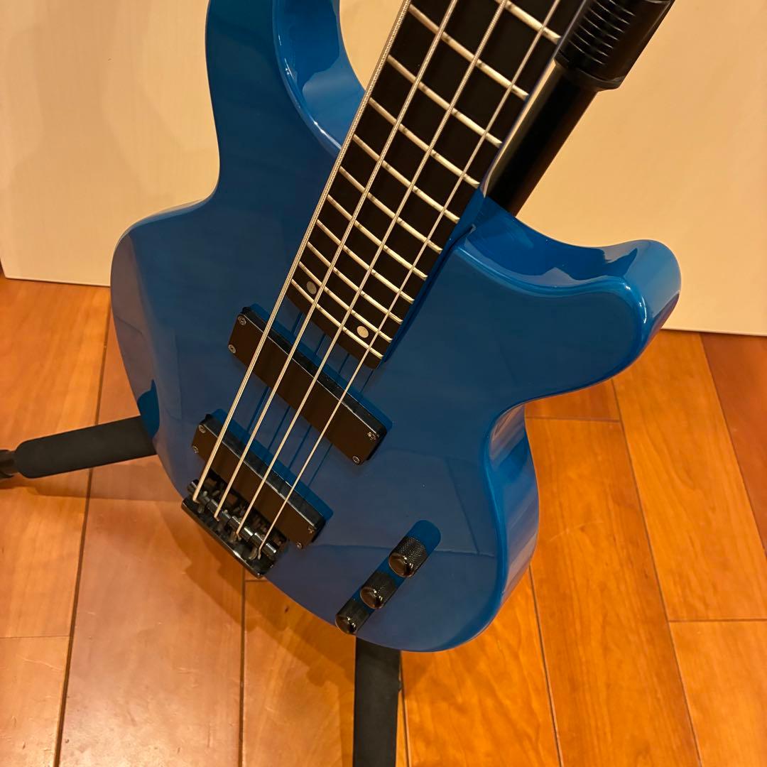 美品★EDWARDS LUNA SEA Jモデル TVB