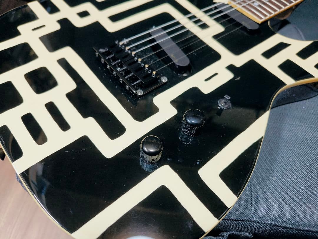 FERNANDES TE-95HT 布袋モデル EMG-SA マグナムロック