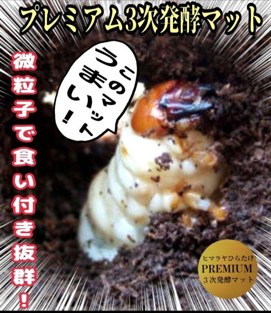 アンタエウスに抜群！プレミアム3次発酵マット【40リットル】バクテリア強化配合