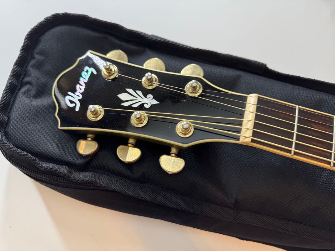 ibanez aeg24Ⅱ-TOS1204 エレアコ　アコースティックギター
