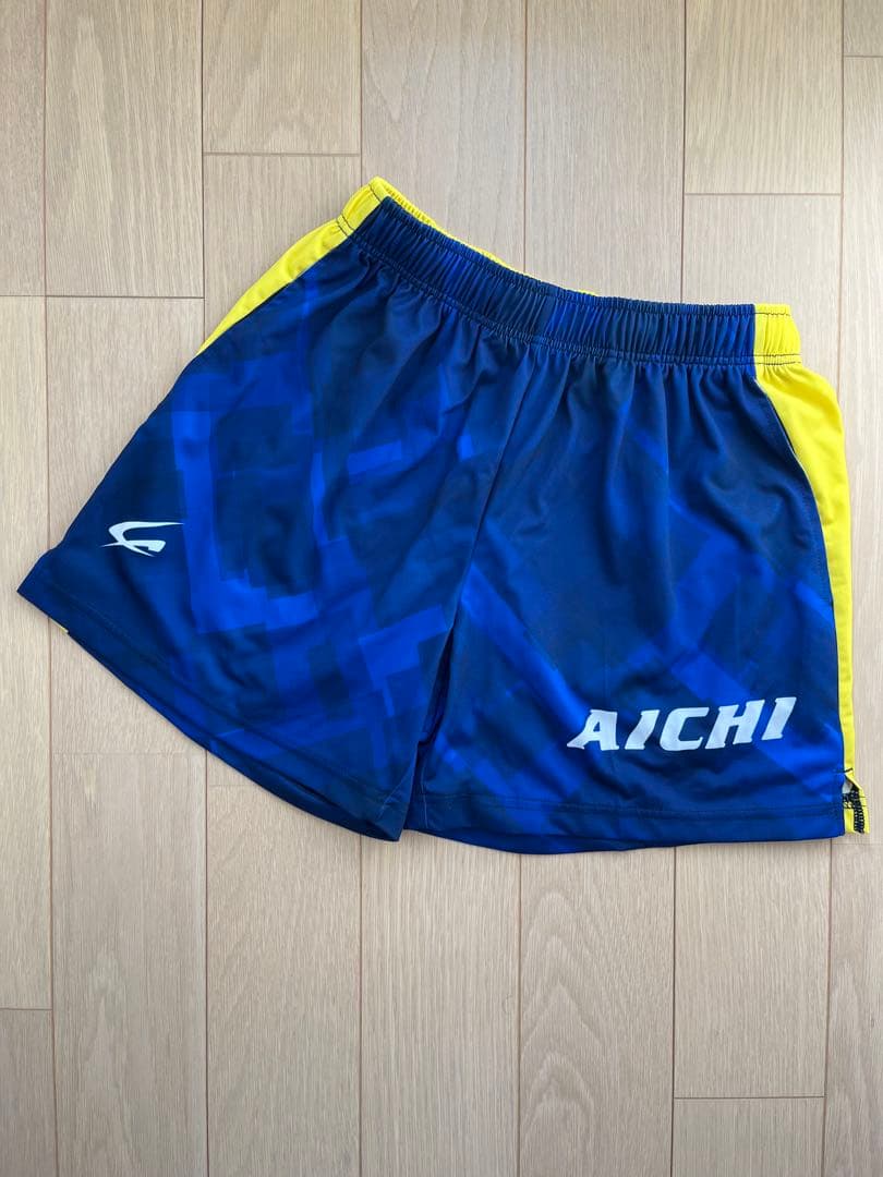 愛知県強化指定選手　６点セット　ジャージ　ウインドブレーカー　陸上