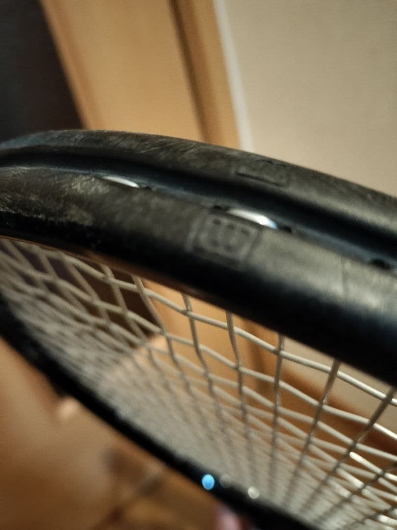 プロストック　H19