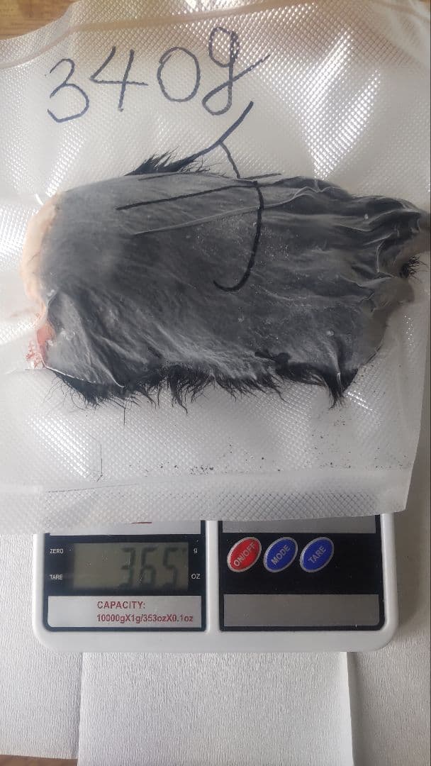 熊の毛付き爪　2点セット