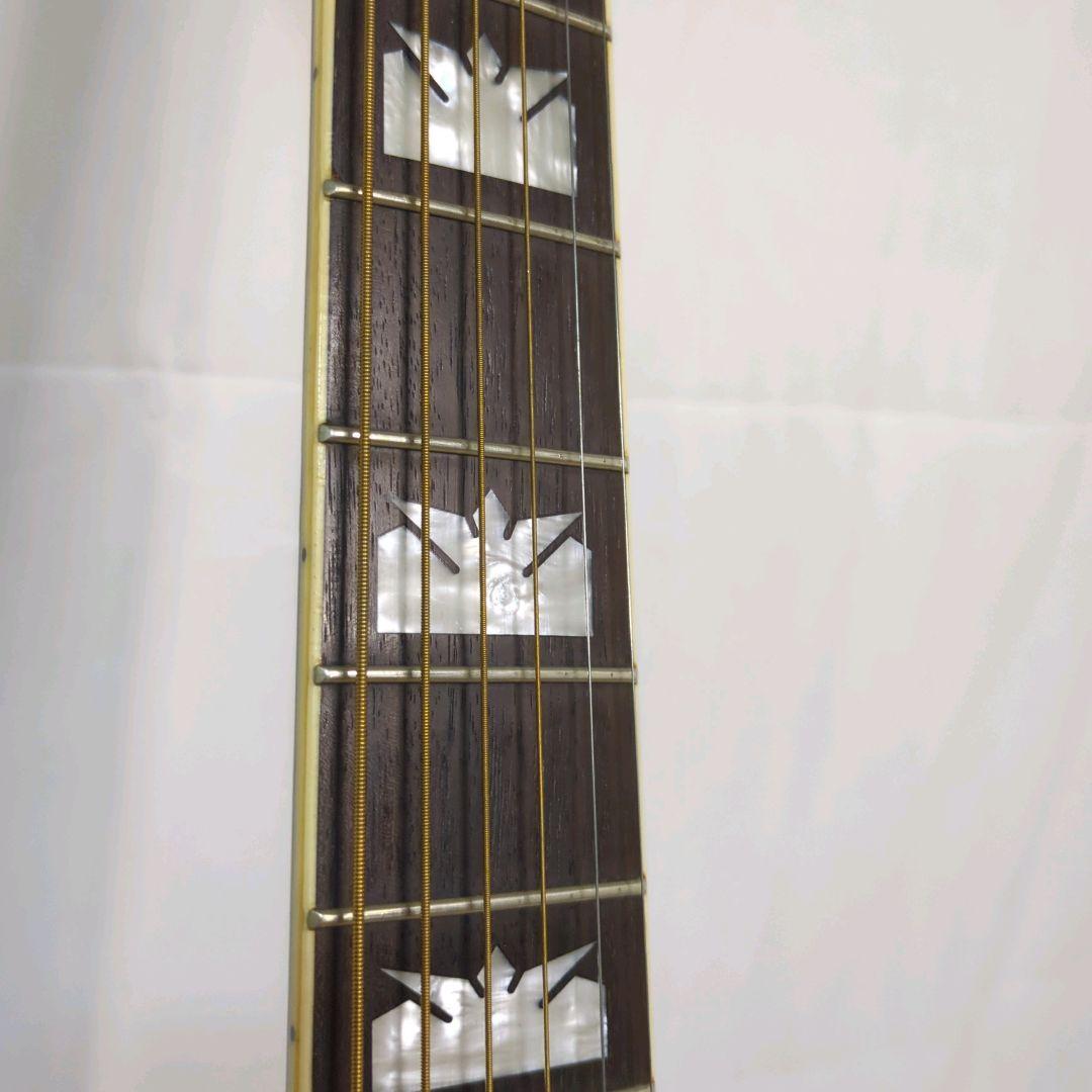 Epiphone EJ200 EB アコギ ハードケース付き