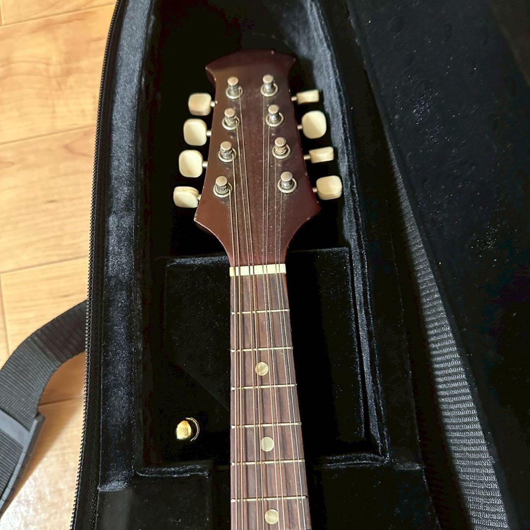 ケース極美品✨ スーパーライトマンドリンケース スズキ バイオリンNO.226