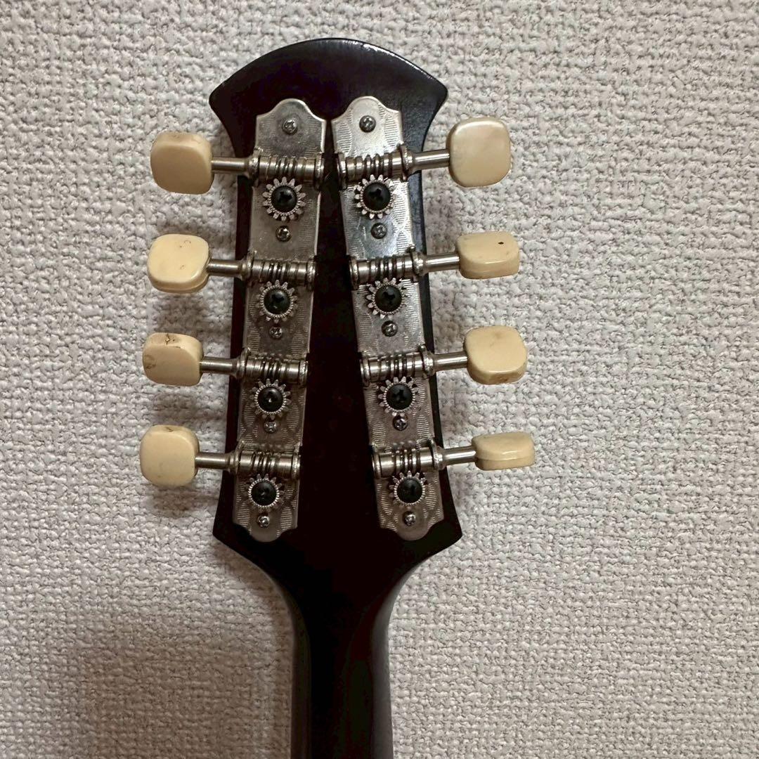 ケース極美品✨ スーパーライトマンドリンケース スズキ バイオリンNO.226