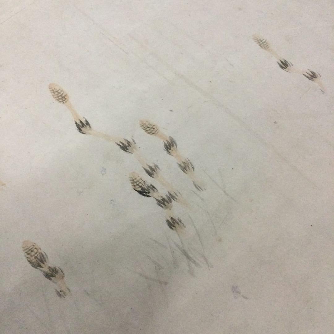 『希少』 真筆 八木奇峰 肉筆花鳥図 襖絵 四枚 江戸明治 花鳥画 彩色墨画