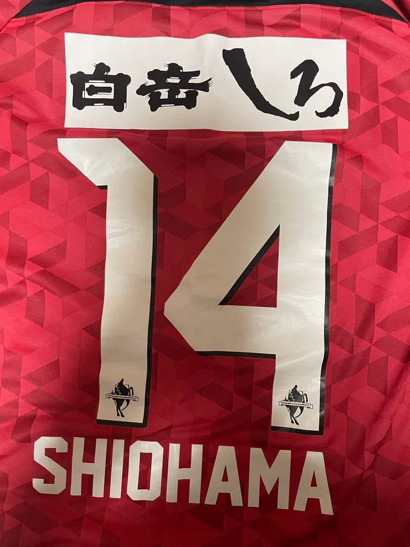 ロアッソ熊本 2025年 オリジナルユニフォームLサイズ