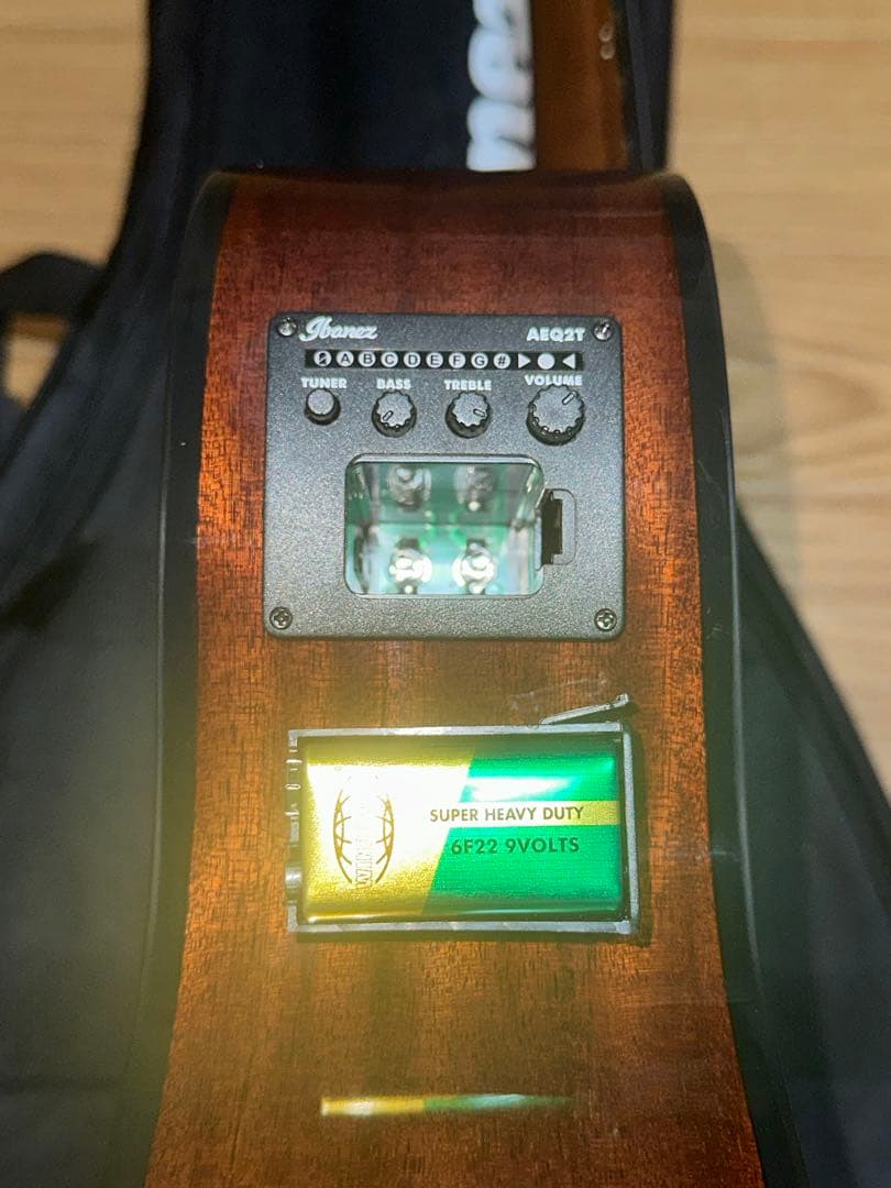 Ibanez AEGB24E-MHS (必ず商品の説明をご覧ください！)