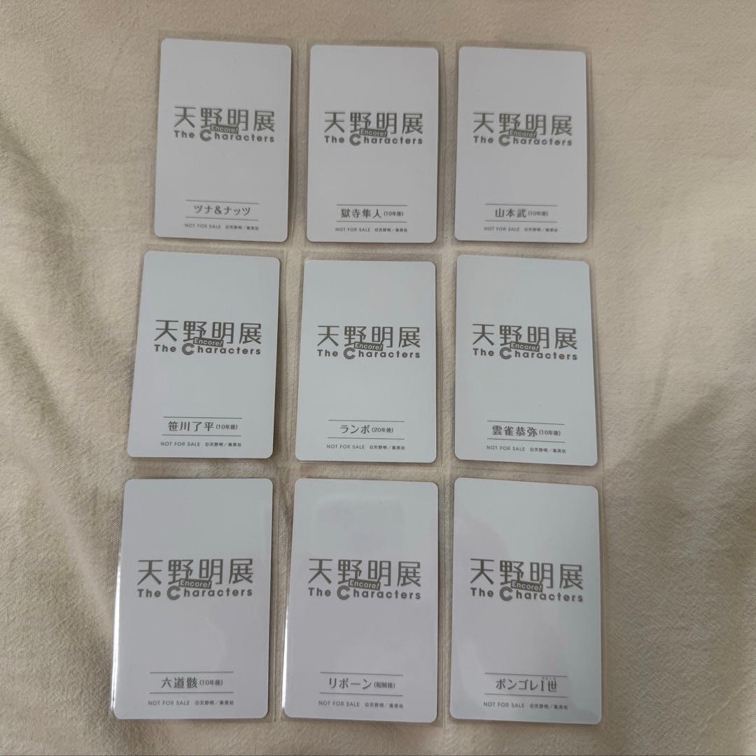 家庭教師ヒットマンREBORN! 天野明展 自撮り風カード 新規絵柄 全種