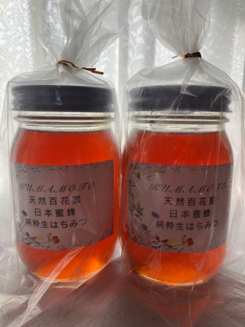 はちみつ　日本蜜蜂の蜂蜜 非加熱無添加　　純粋生の百花蜜　５６０グラムx2本