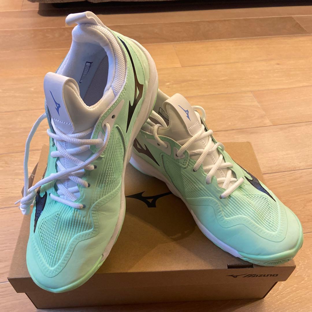 Mizuno バレーボールシューズ ミントグリーン　26センチ　限定品