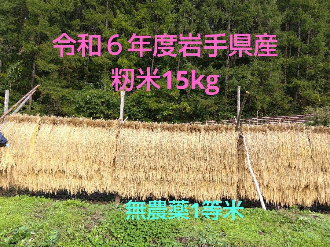 令和６年度岩手県産かけはし自然天日干し籾米15kg