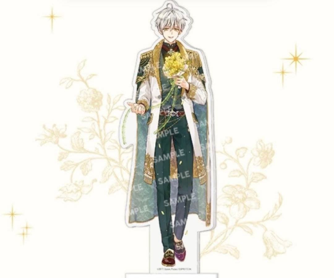 ある日、お姫様になってしまった件について イラストブック ボックスセット