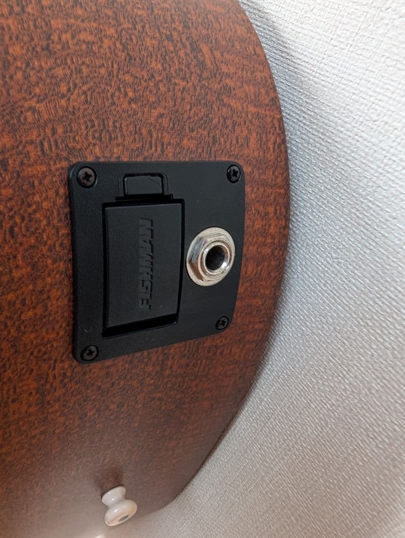 Martin LX1E 純正ソフトケース付属