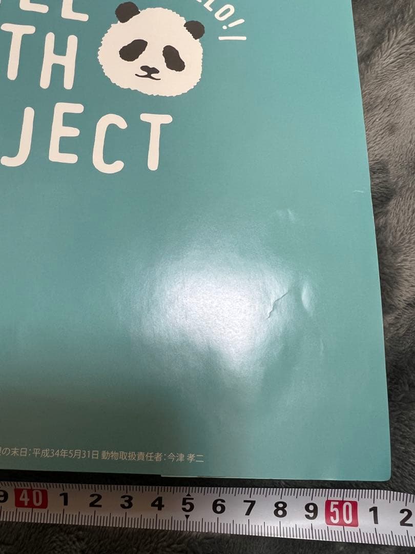 楓浜 アドベンチャーワールド　誕生記念ポスター72×51cm 白浜市配布非売品