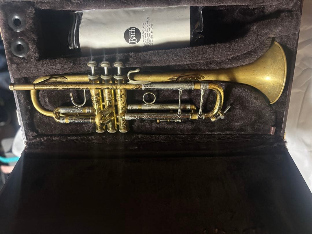 Stradivarius 180ML model37 14万番代