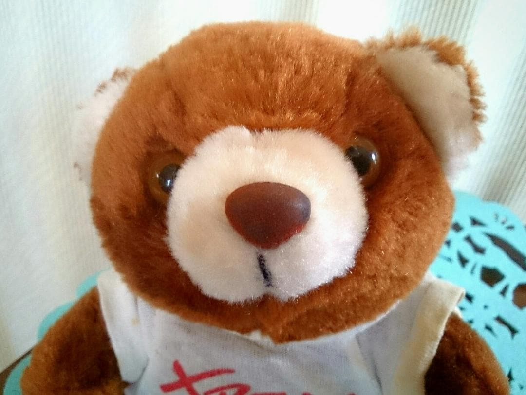 【非売品】シトロエン・クサラ　Citron　Xsara 納車記念特典　テディベア