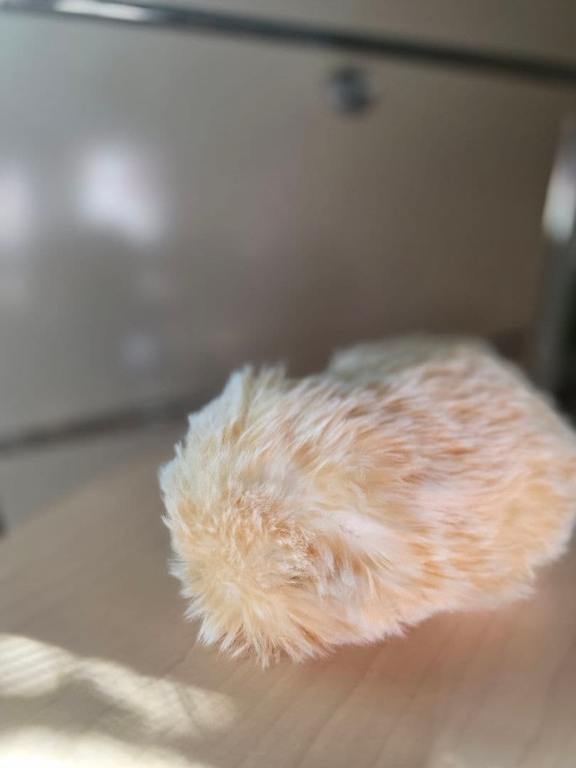 ワケあり　CASIO AIペット Moflin ゴールド