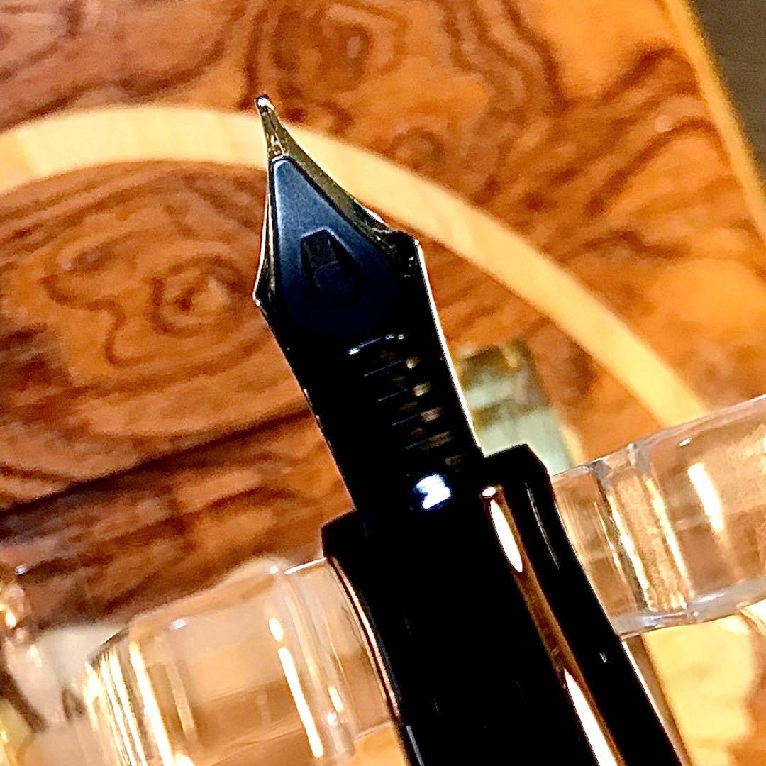 ☆極上美品☆パイロット万年筆の原点☆素晴らしいパイロットカスタム74（SM)