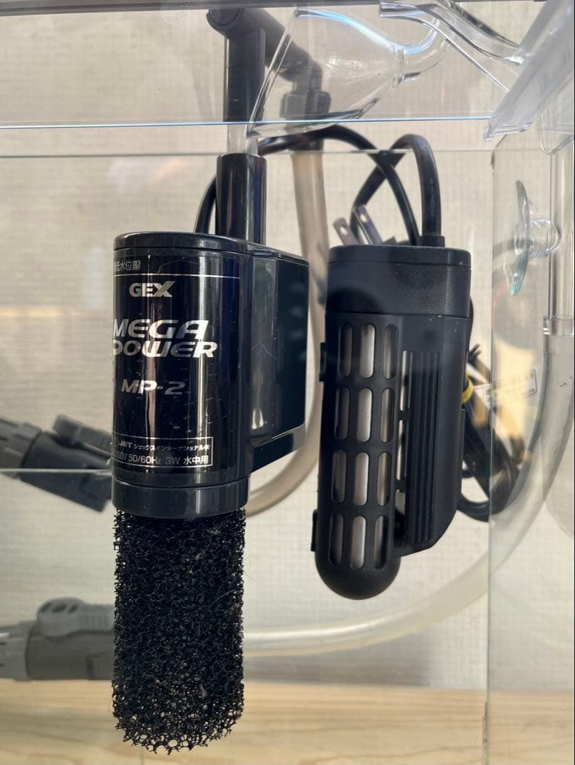 【美品】15点セット・GEX グラステリアスリム600 フレームレス水槽 他