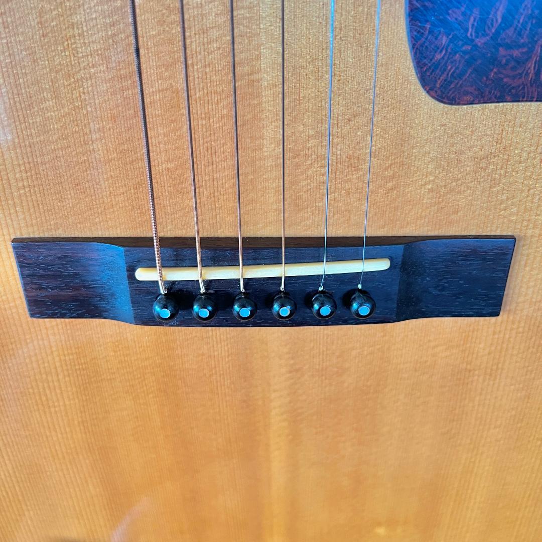 GUILD GAD-30E 総単板 エレアコ Fishmanアンプ内蔵 ギルド