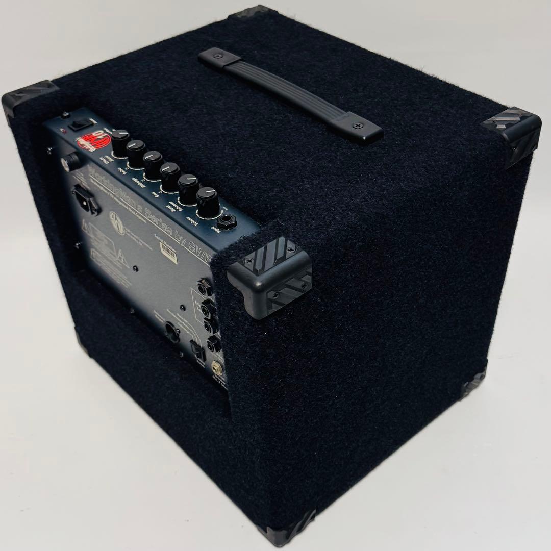 【専用】SWR workingman's 10 高出力 80w ワーキングマン