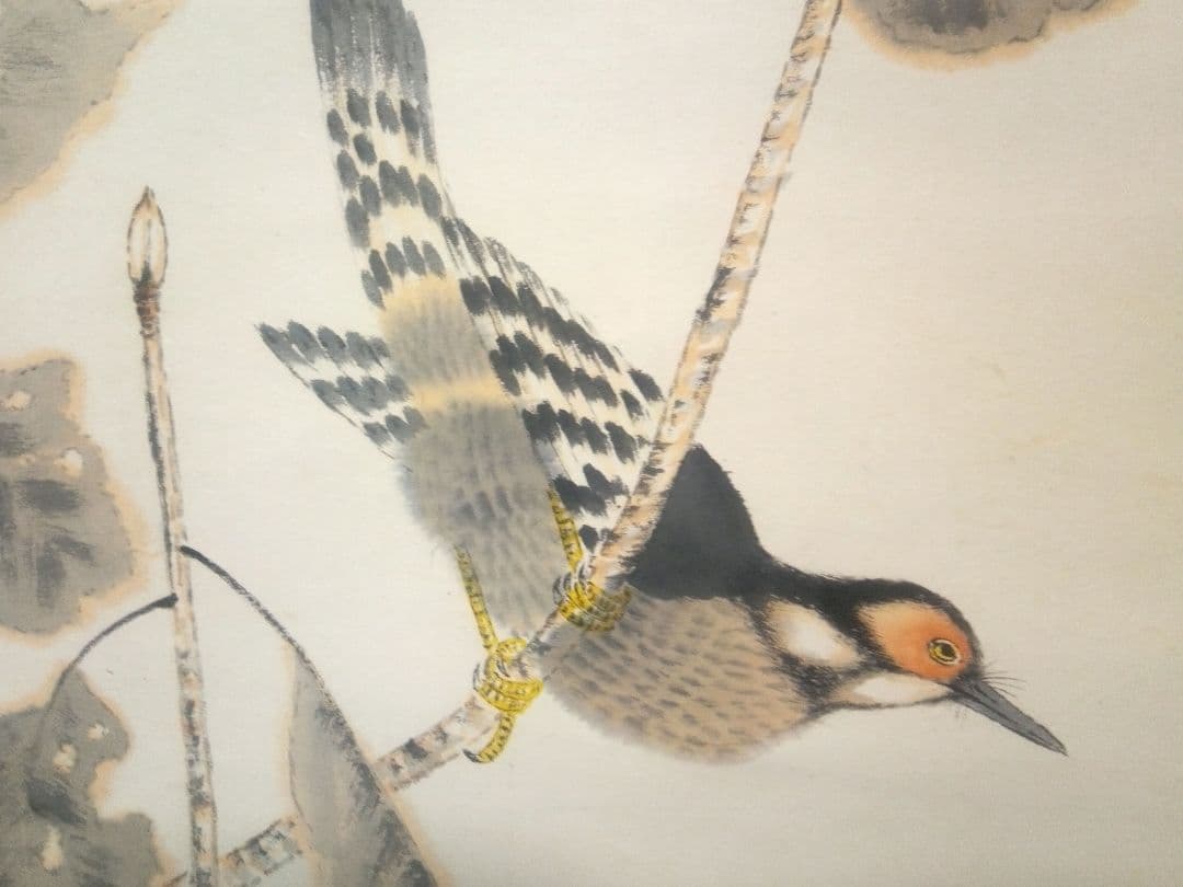 小杉放庵直筆紙本掛け軸共箱付き(題名霜の河雀)