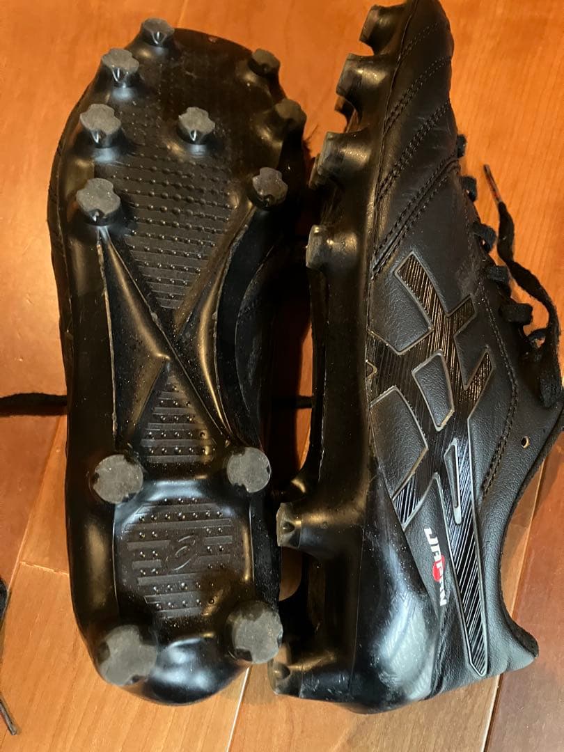 【25.0】asics DSライトx-fly4 JAPANブラック