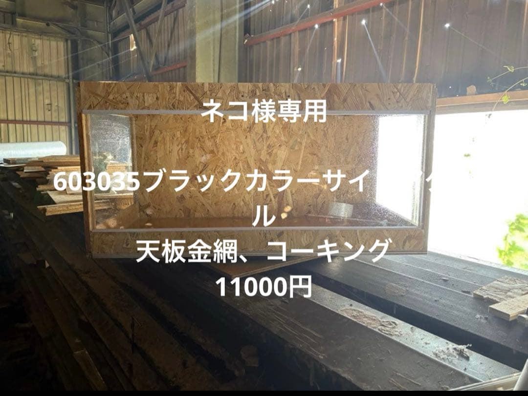 ネコ　603035ブラックカラー