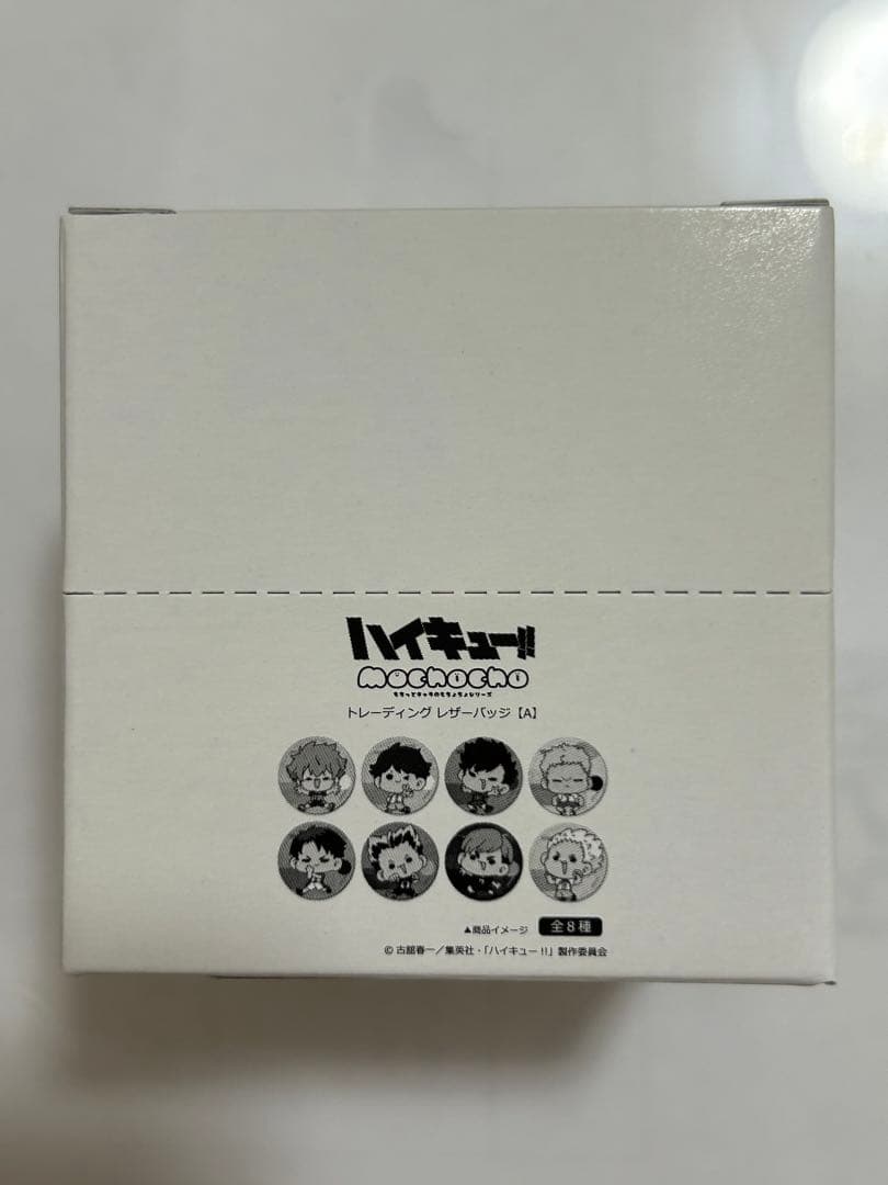 ハイキュー!!　mochocho Vol.2 トレーディング丸型レザーバッジA