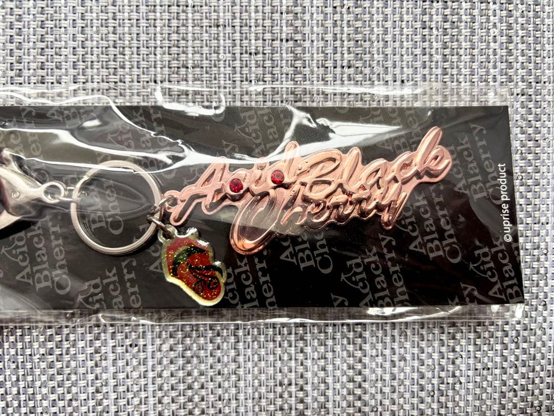 【Acid Black Cherry】フリーライブ 2011☆キーホルダー