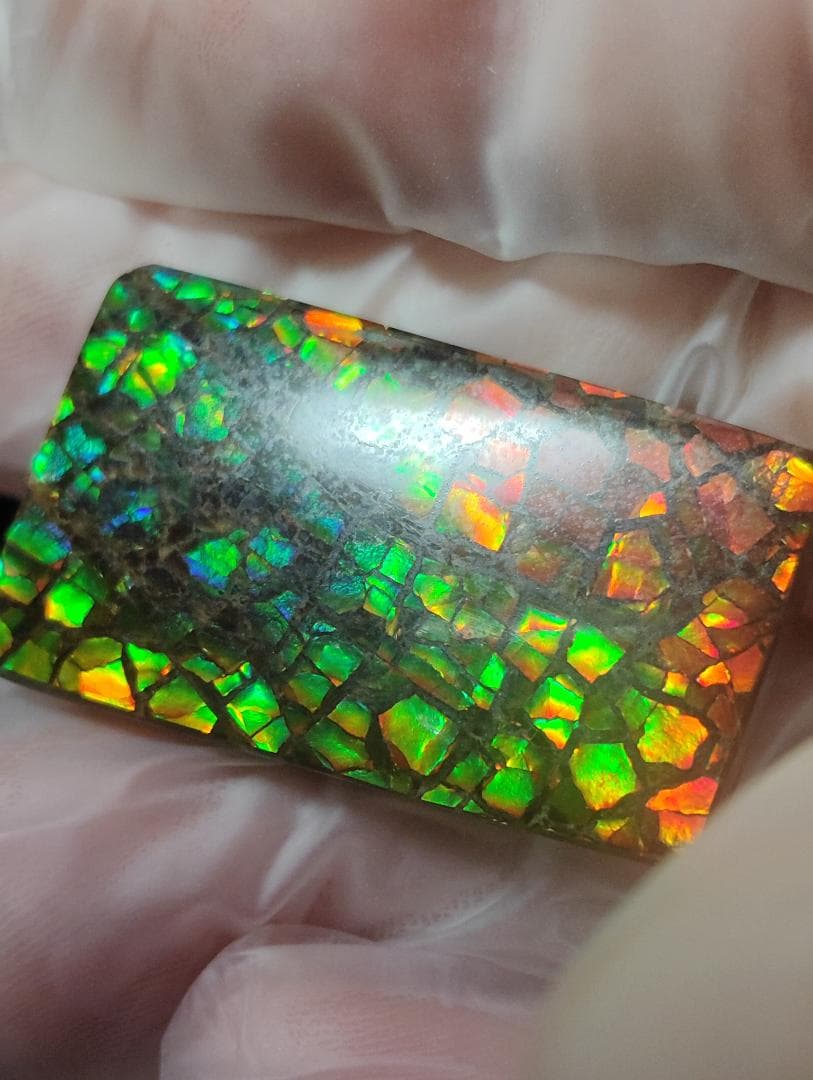 アンモライト　ルース　24-0800 36000