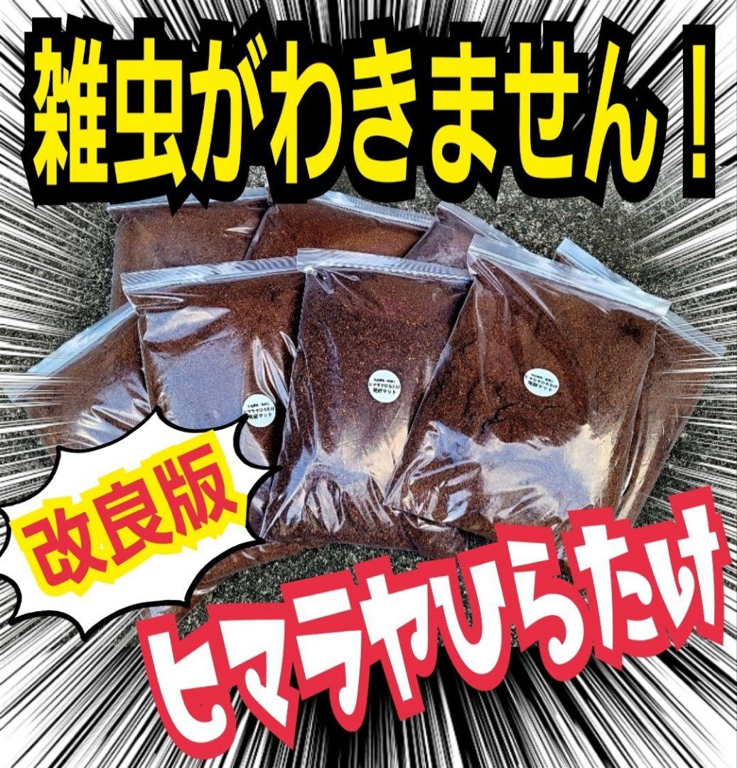 カブトムシ幼虫が大きくなる！栄養たっぷり！発酵マット【6袋】雑虫が湧きません！