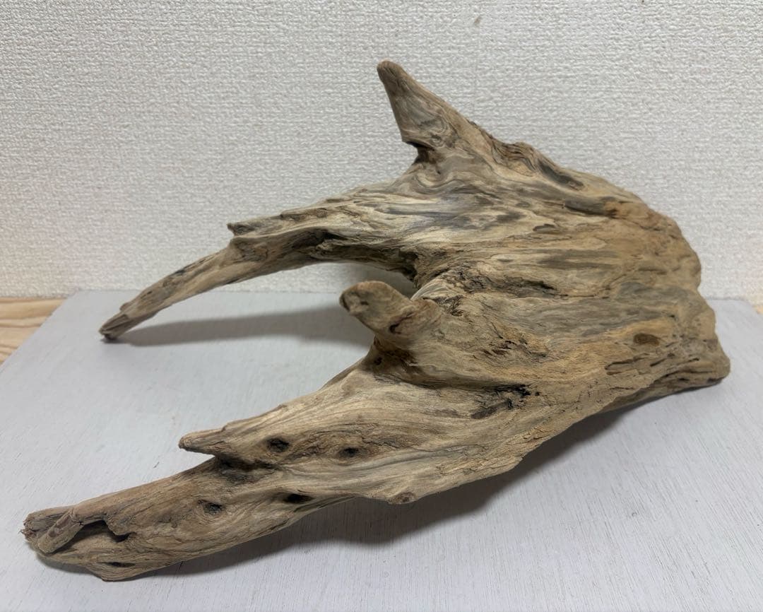 Ｇ86 爬虫類　両生類　シェルター　バスキング　流木