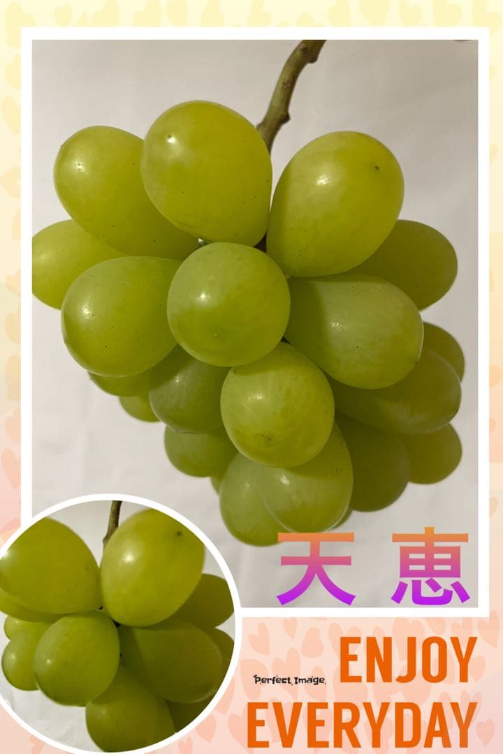 まねき様 美和姫 セブン マイハート 愛妻 ジーコ バイオレット ヌーベル 他