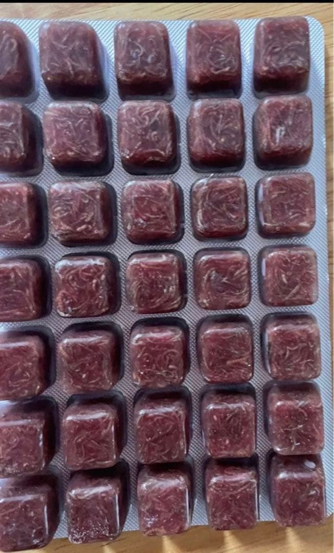 冷凍赤虫　60枚セット 1Kg 富城物産　無着色　赤虫　餌　エサ　魚　ウーパー